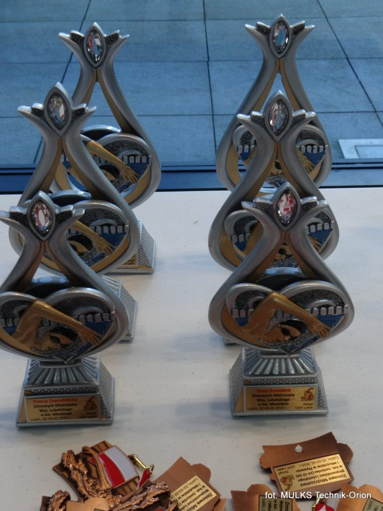 Mikołaj Trykacz trzykrotnym Mistrzem Województwa Lubelskiego w pływaniu