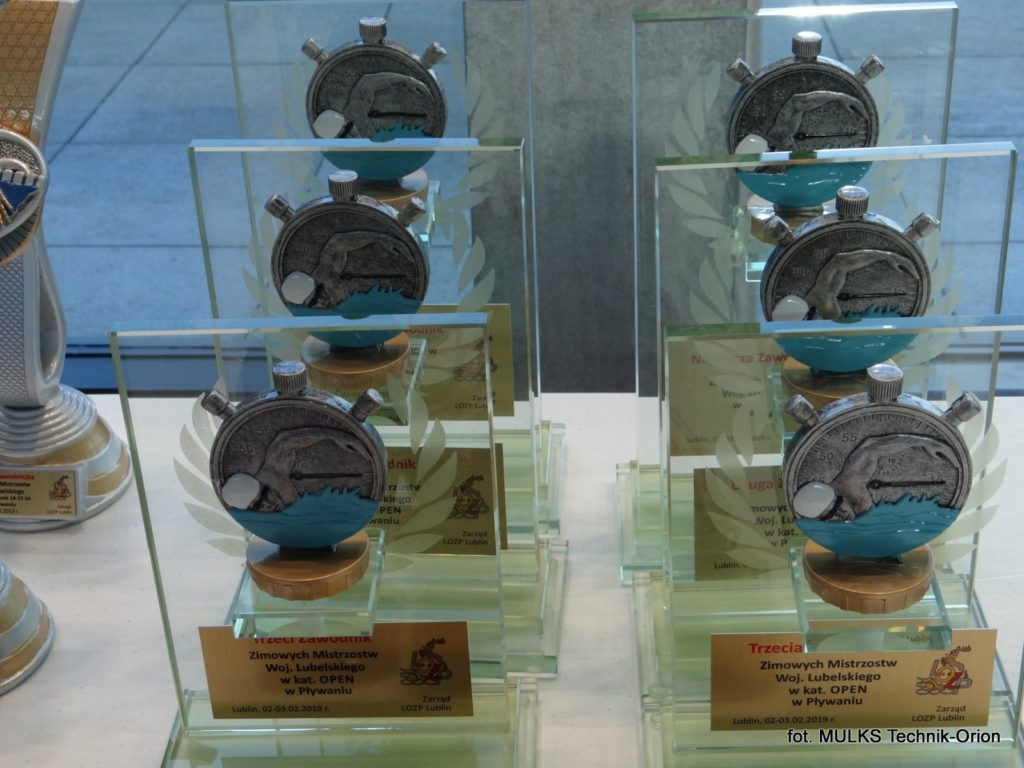 Mikołaj Trykacz trzykrotnym Mistrzem Województwa Lubelskiego w pływaniu