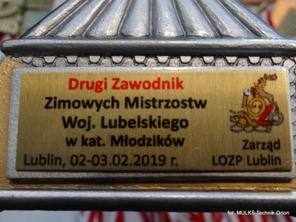 Mikołaj Trykacz trzykrotnym Mistrzem Województwa Lubelskiego w pływaniu