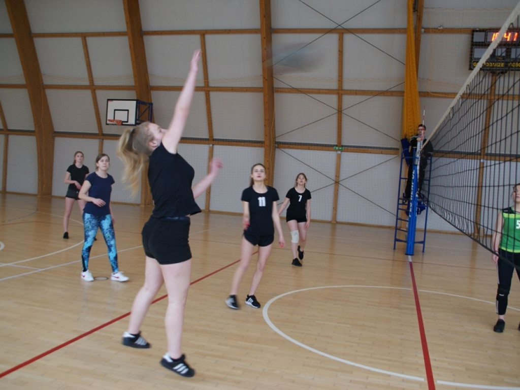 Licealiada 2018/2019 Mistrzostwa Powiatu w Piłce Siatkowej Dziewcząt