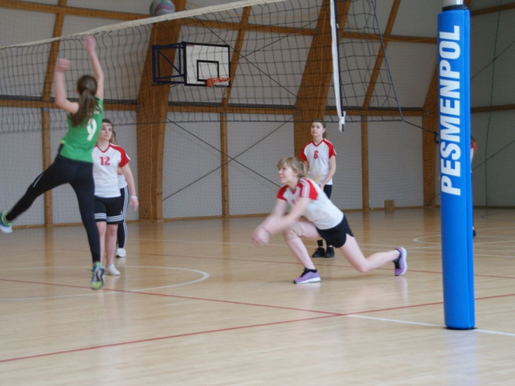 Licealiada 2018/2019 Mistrzostwa Powiatu w Piłce Siatkowej Dziewcząt