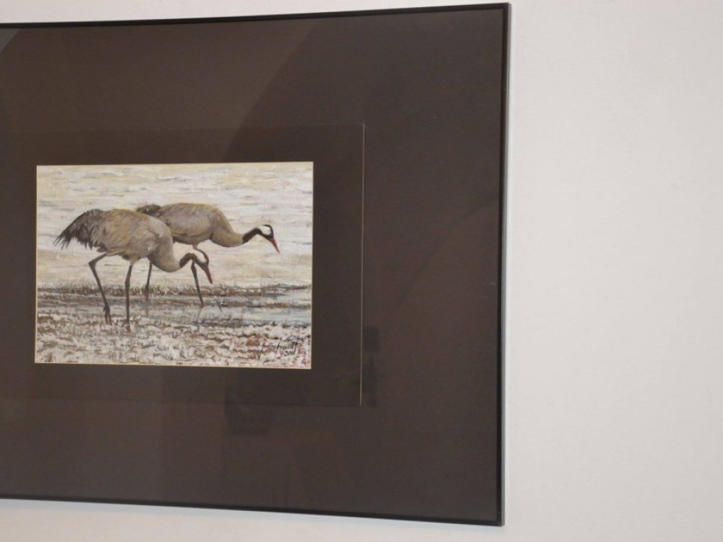 Wystawa obrazów Jacka Schmidta