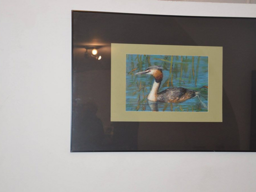 Wystawa obrazów Jacka Schmidta