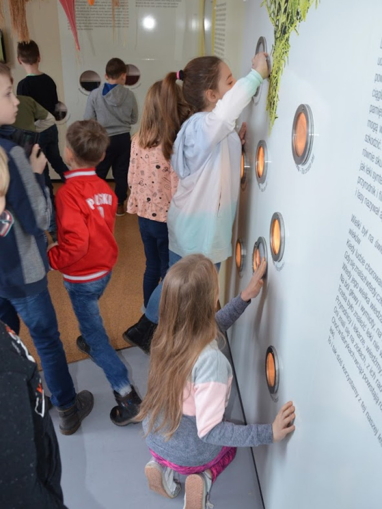 Wycieczka do Parku Rekreacji 