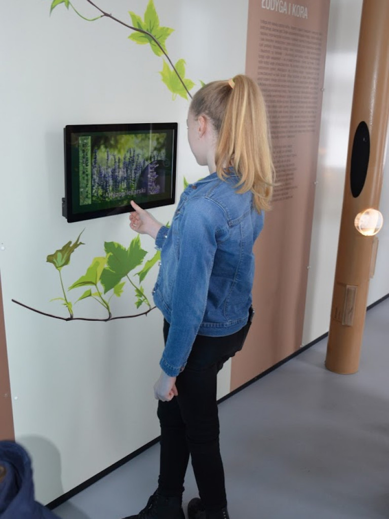 Wycieczka do Parku Rekreacji 