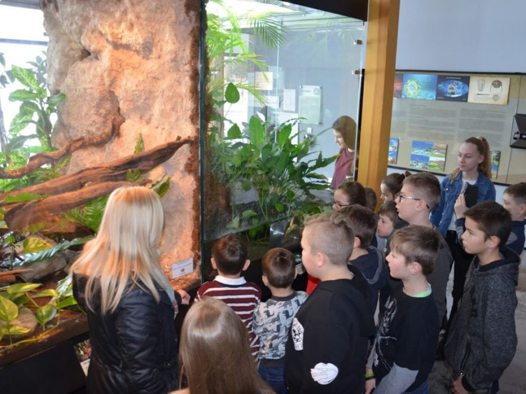 Wycieczka do Parku Rekreacji 