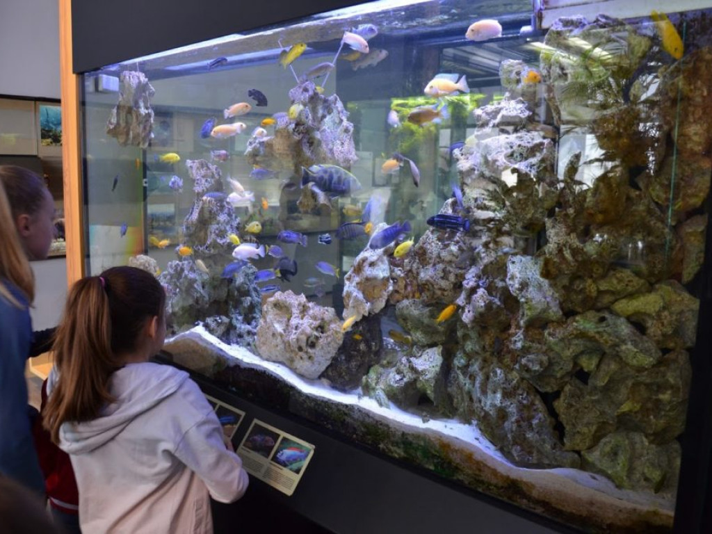 Wycieczka do Parku Rekreacji 