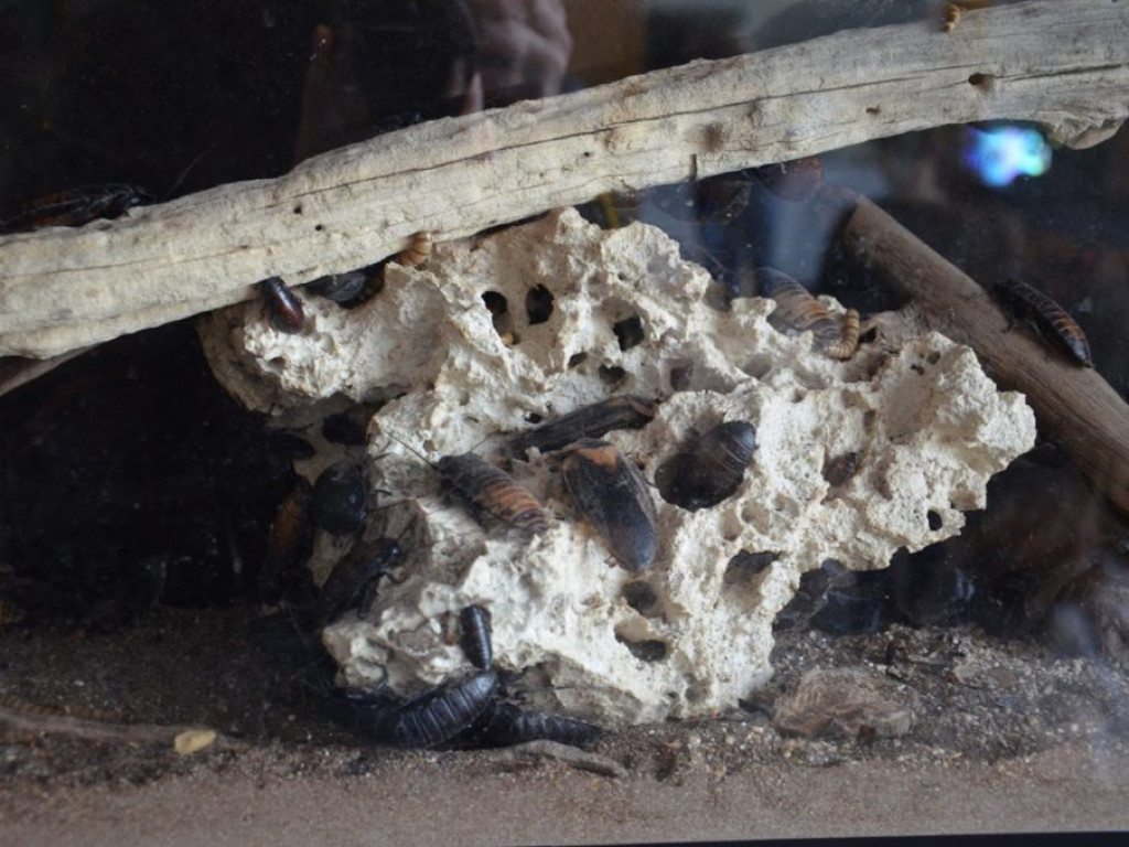 Wycieczka do Parku Rekreacji 