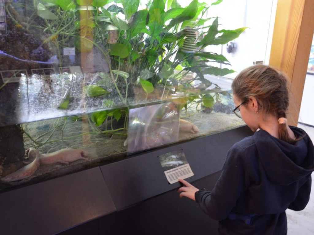 Wycieczka do Parku Rekreacji 