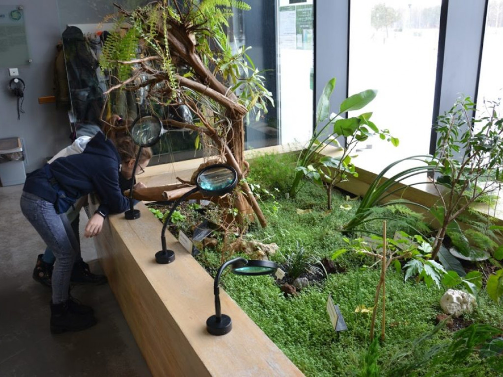 Wycieczka do Parku Rekreacji 