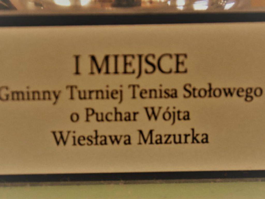 Turniej Tenisa Stołowego o Puchar Wójta rozegrany