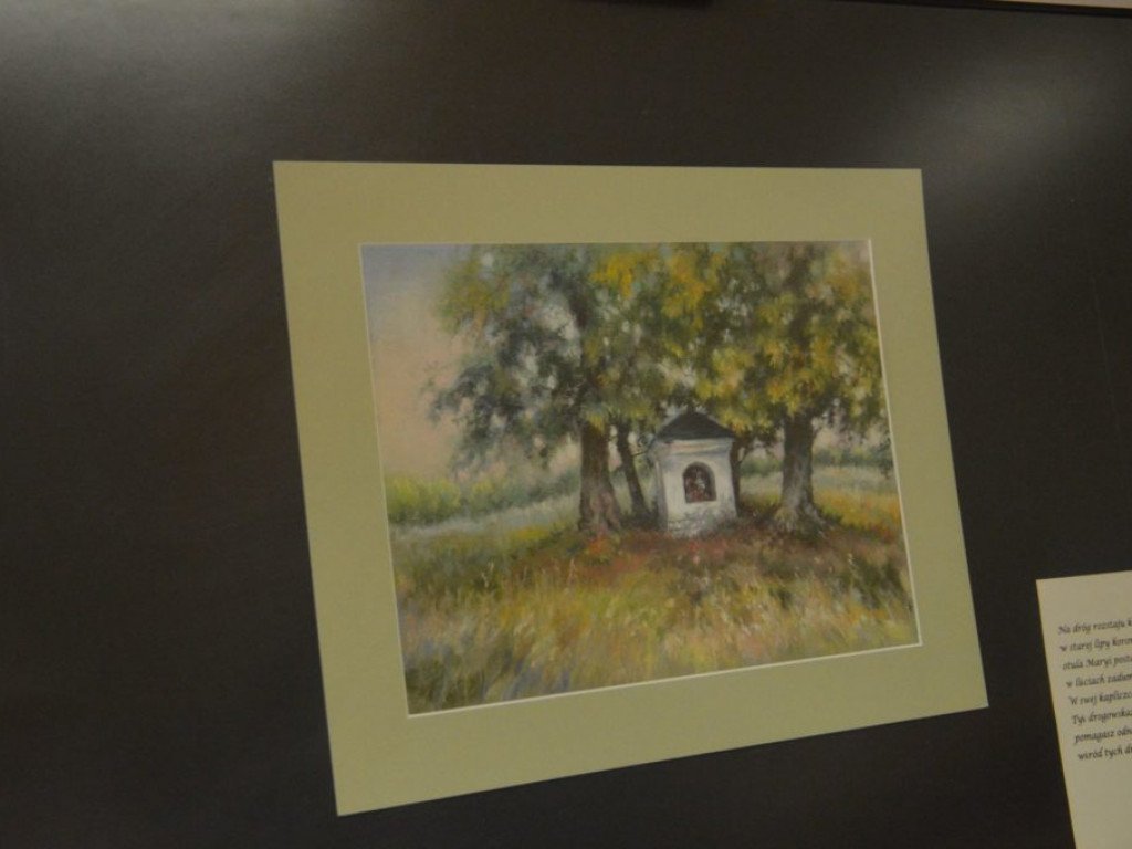 Wystawa fotograficzno-malarska 