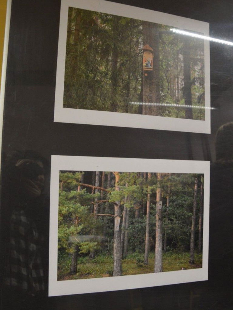 Wystawa fotograficzno-malarska 