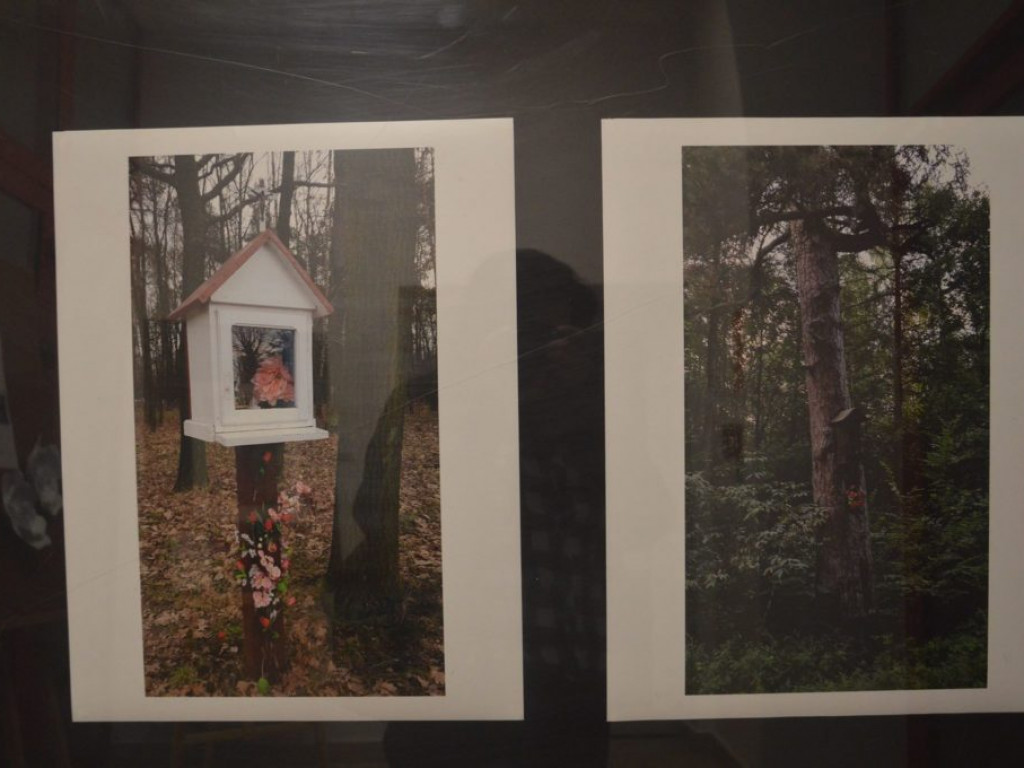 Wystawa fotograficzno-malarska 