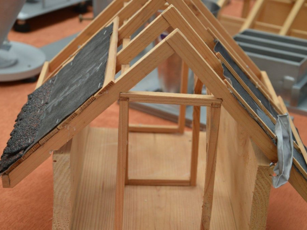 Targi Pracy i Edukacji