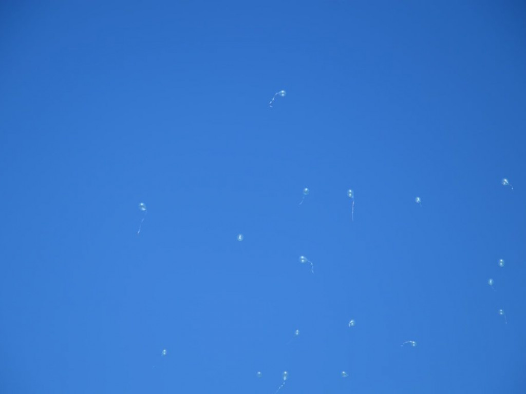 Światowy Dzień Świadomości Autyzmu w Radzyniu