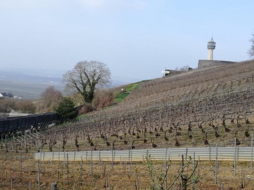 Uczniowie ZSP we Francji