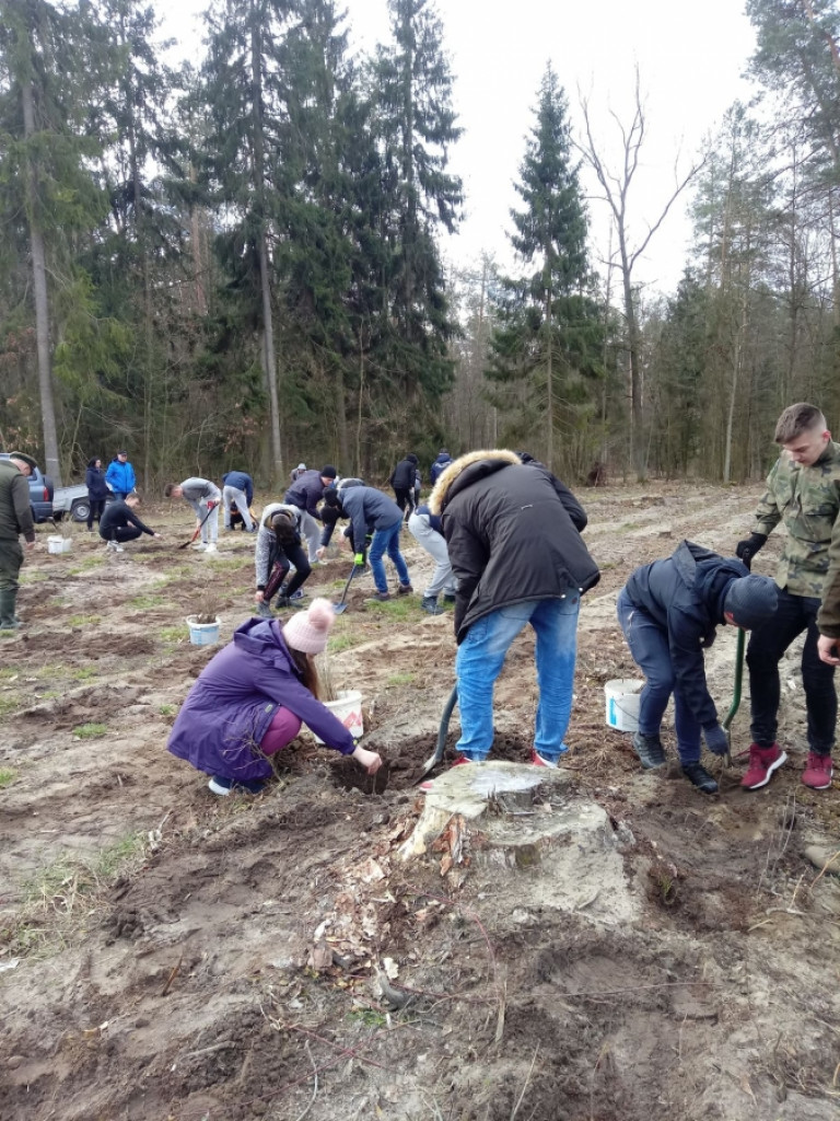 Uczniowie ZSP sadzili las