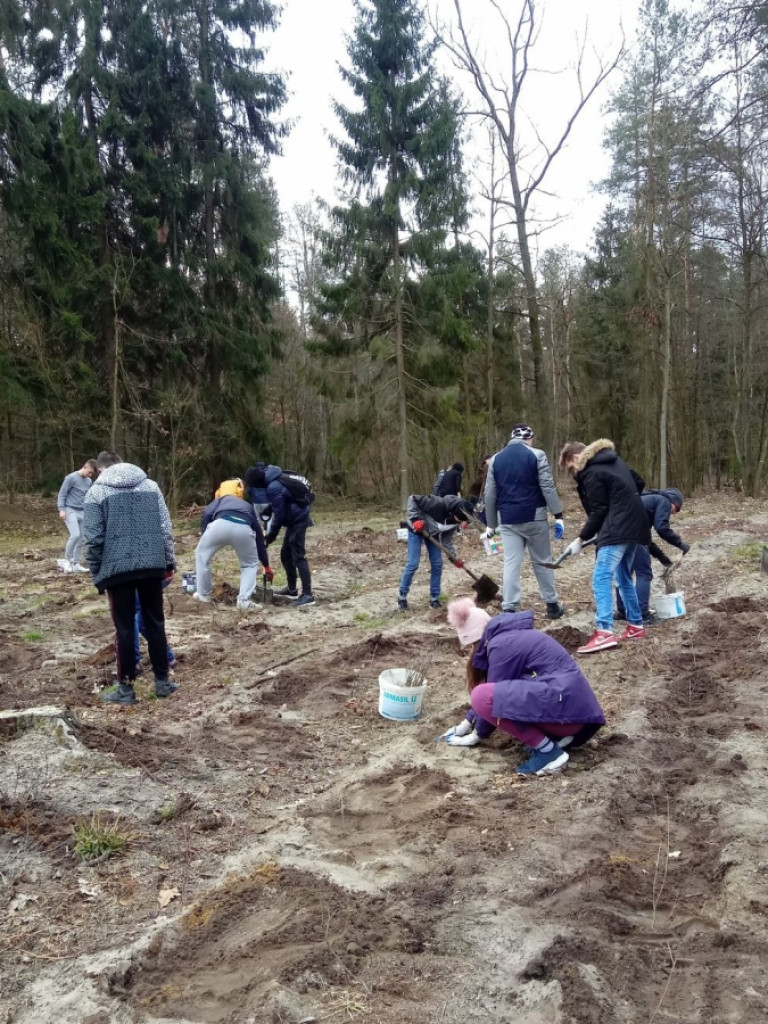 Uczniowie ZSP sadzili las