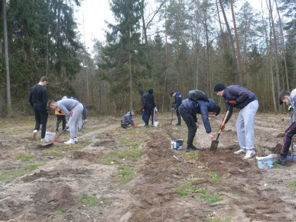 Uczniowie ZSP sadzili las