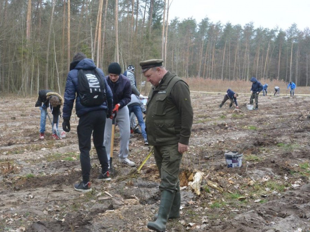 Uczniowie ZSP sadzili las
