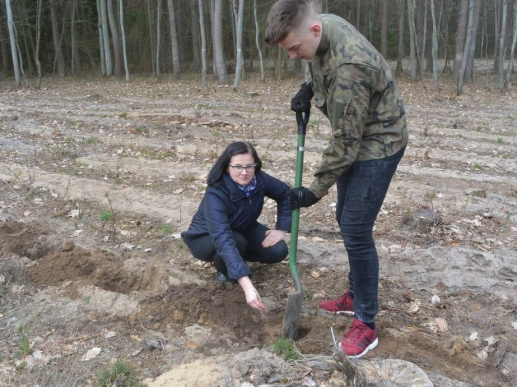 Uczniowie ZSP sadzili las