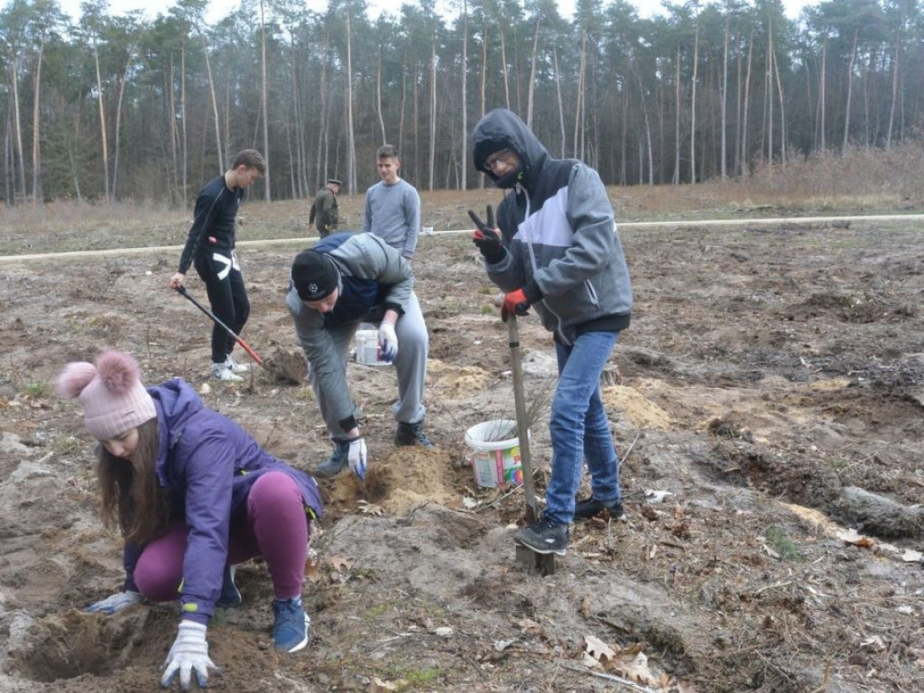 Uczniowie ZSP sadzili las