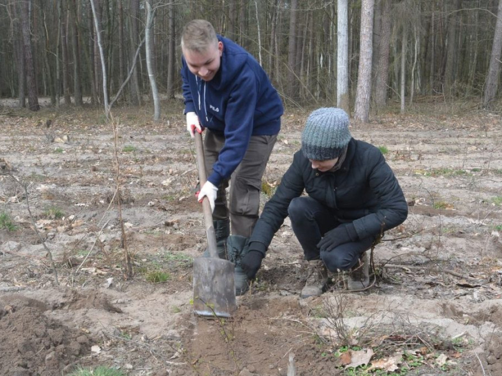 Uczniowie ZSP sadzili las
