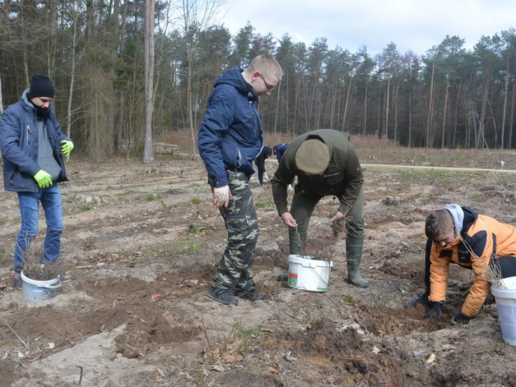 Uczniowie ZSP sadzili las