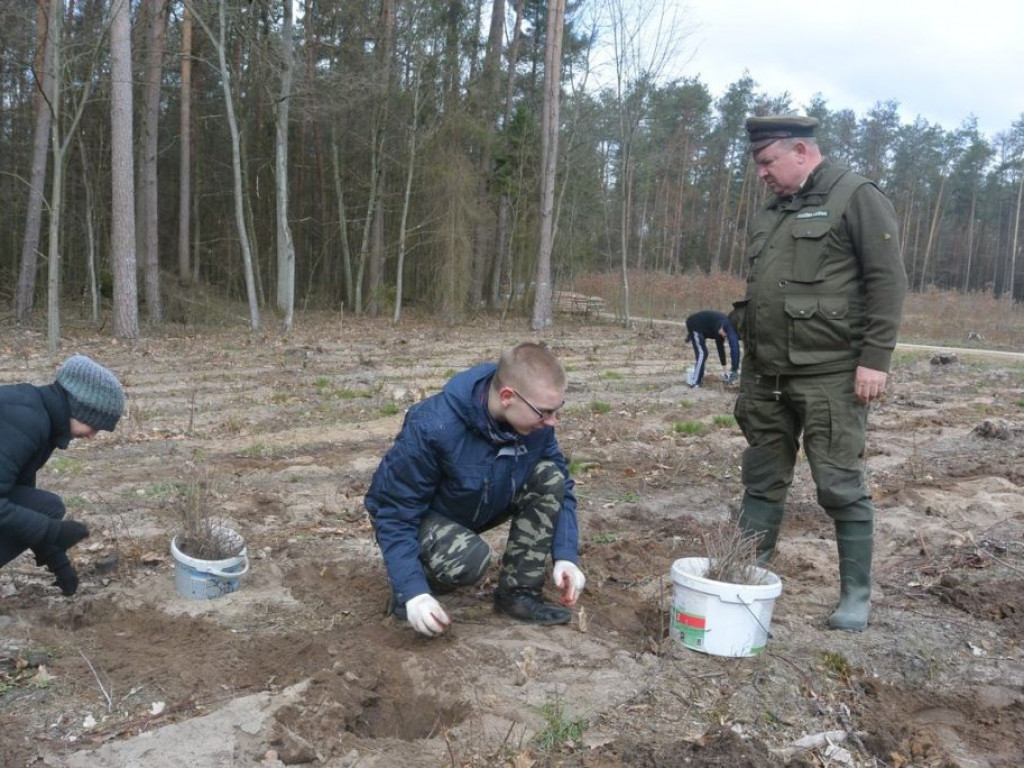 Uczniowie ZSP sadzili las