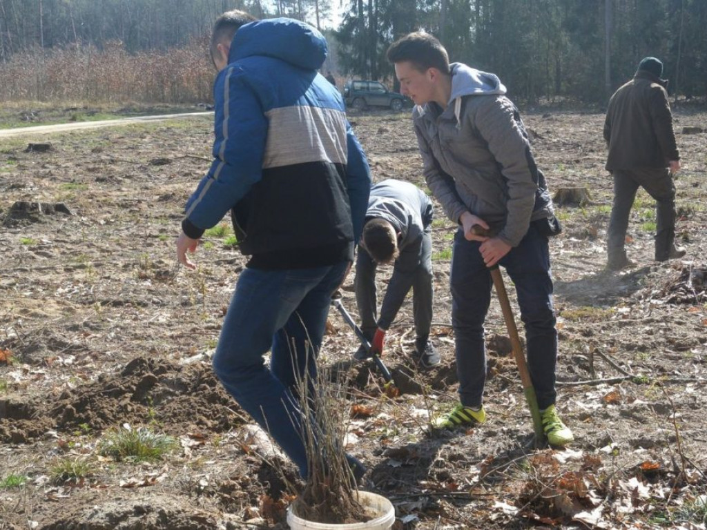 Uczniowie ZSP sadzili las