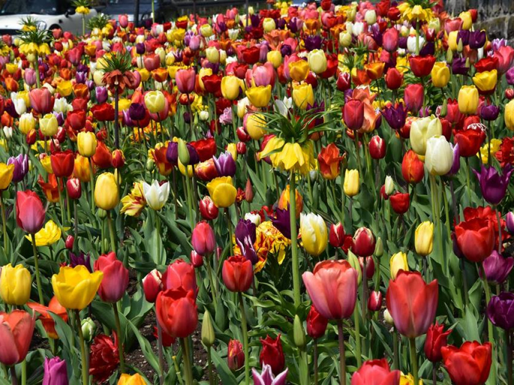 Wyjazd z I LO do Niemiec