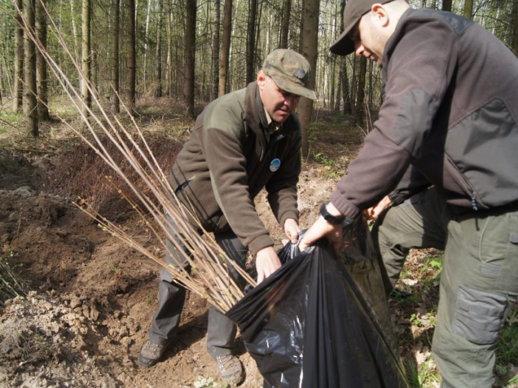 Uczniowie I LO sadzili lasy