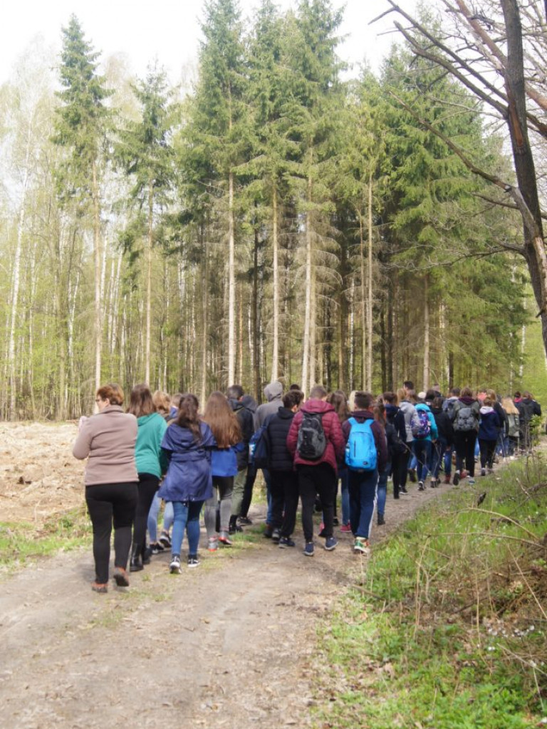 Uczniowie I LO sadzili lasy