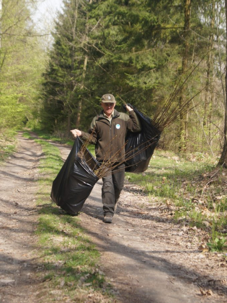 Uczniowie I LO sadzili lasy