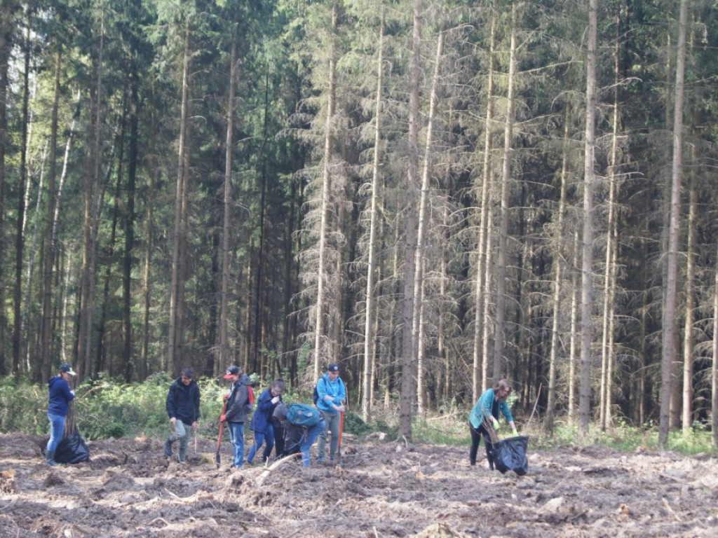 Uczniowie I LO sadzili lasy
