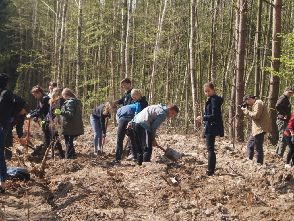 Uczniowie I LO sadzili lasy