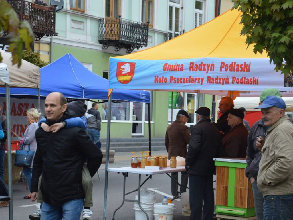 Jarmark sztuki i rękodzieła w Radzyniu Podlaskim