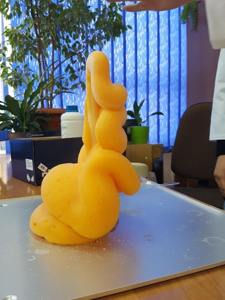 Dzień Otwarty w I LO w Radzyniu