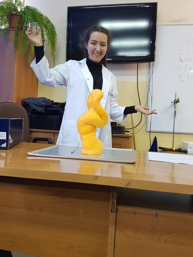 Dzień Otwarty w I LO w Radzyniu