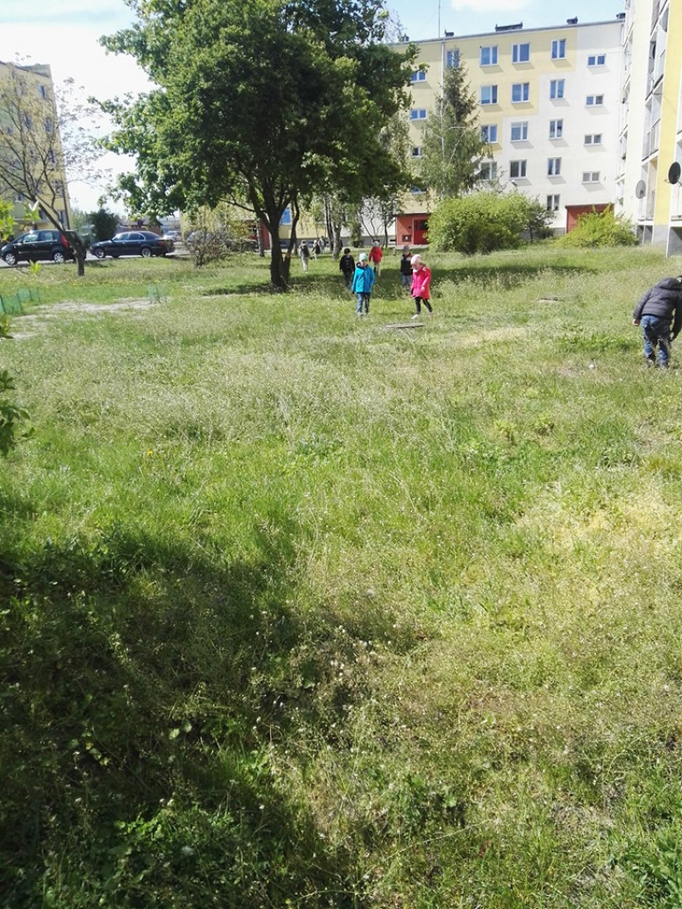 Porządki wokół przedszkola 