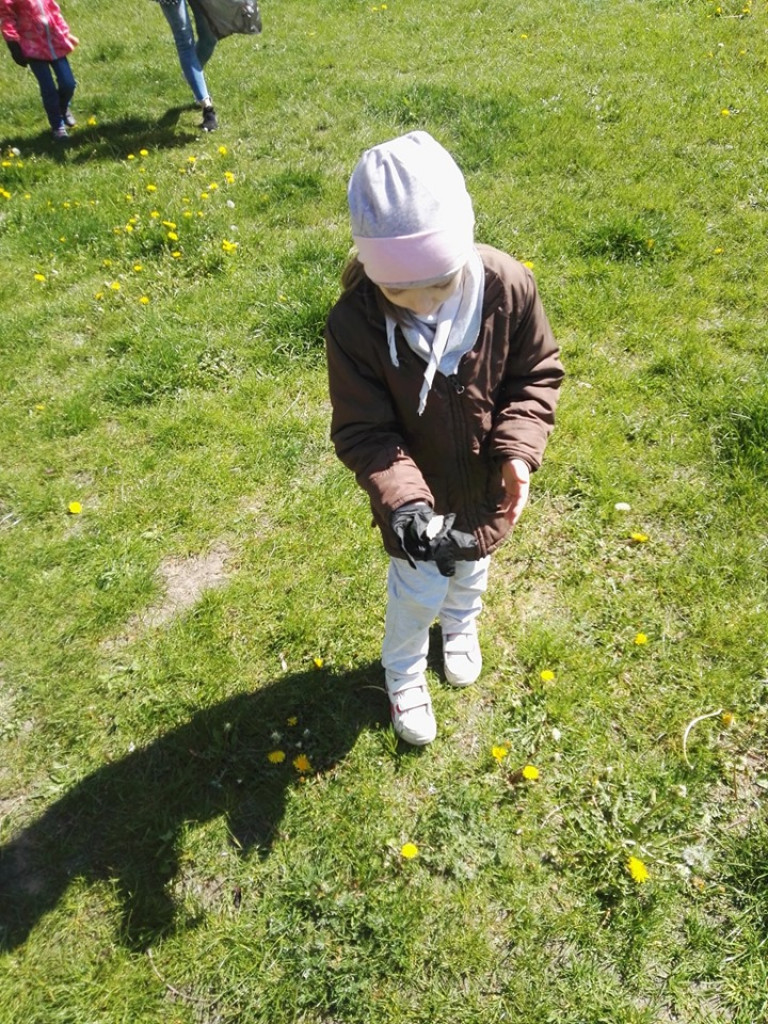 Porządki wokół przedszkola 