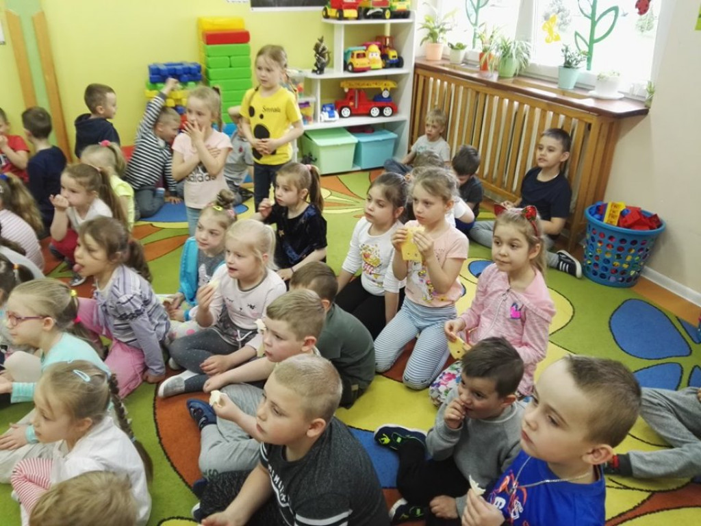 Lekcja o serze w przedszkolu 