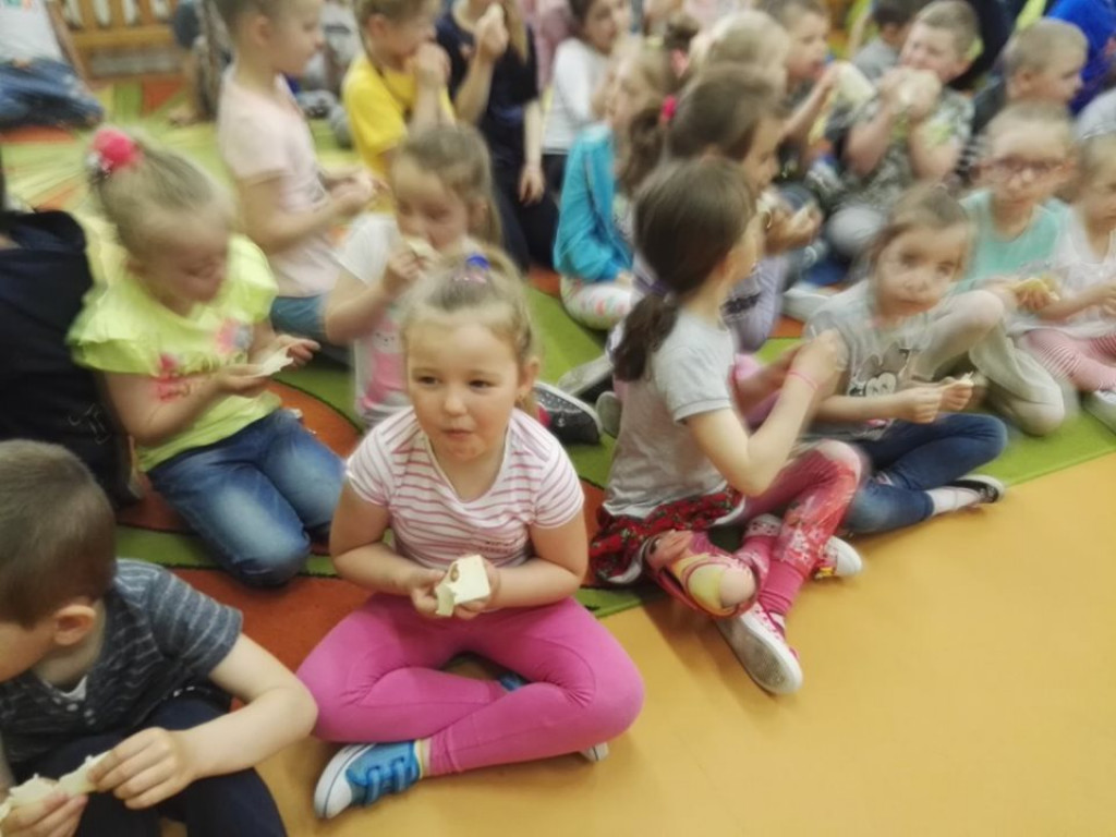 Lekcja o serze w przedszkolu 