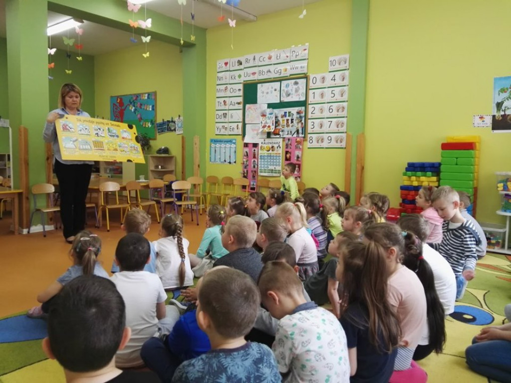 Lekcja o serze w przedszkolu 