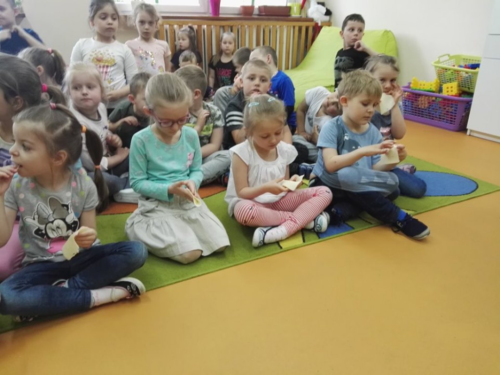 Lekcja o serze w przedszkolu 