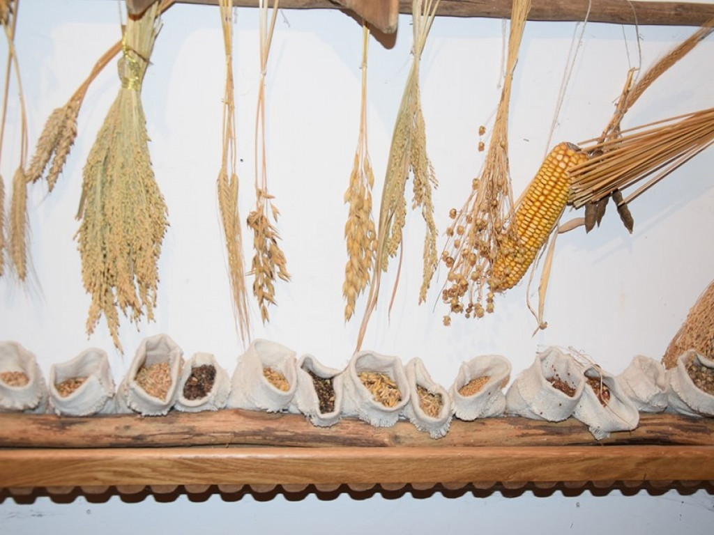 Noc Muzeów 2019 w Woli Osowińskiej