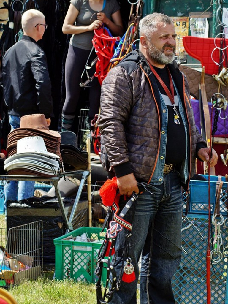 VI Wojewódzki Czempionat Koni Ras Zimnokrwistych w Bedlnie - zdjęcia