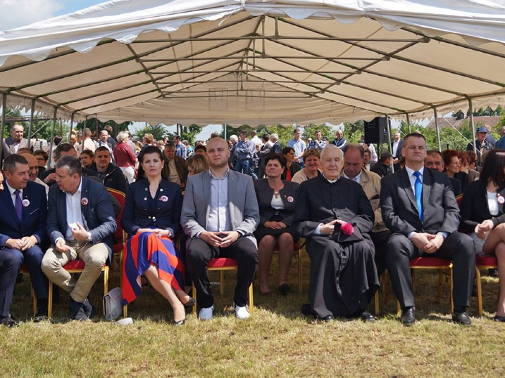 VI Wojewódzki Czempionat Koni Ras Zimnokrwistych w Bedlnie - zdjęcia