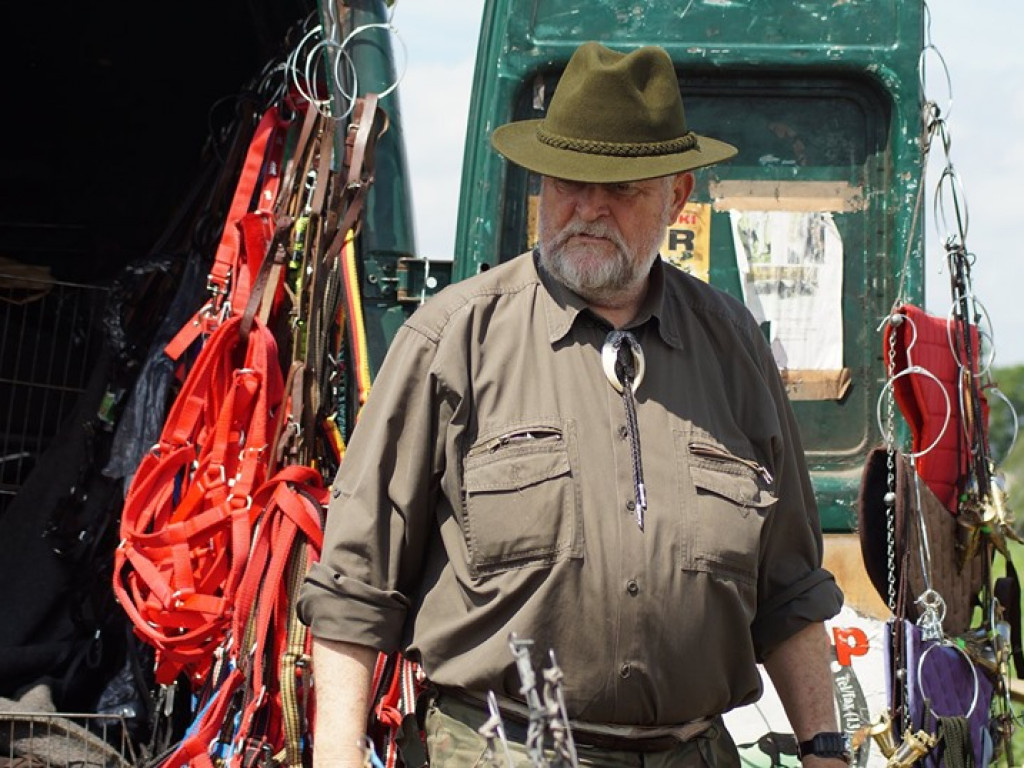 VI Wojewódzki Czempionat Koni Ras Zimnokrwistych w Bedlnie - zdjęcia